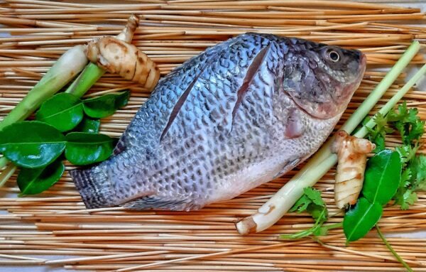 Tilapia - 5kg